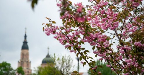 Завтра в Харькове - до 18 градусов тепла и ночью дождь