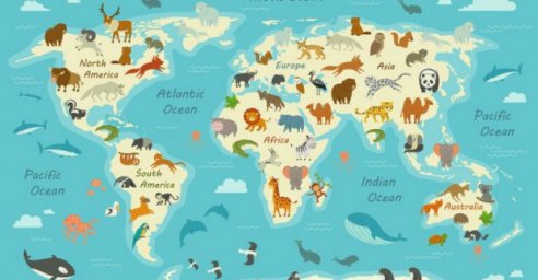 Студенты разрабатывают эмблемы для участников школьных спортивных лиг