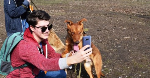 Харьковский приют для животных возобновляет проведение Дней открытых дверей