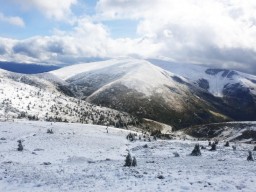 Фото дня: В Карпатах началась настоящая зима