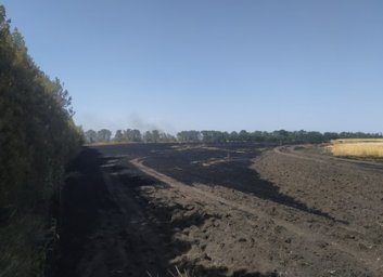 Пожар на пшеничном поле расследуется как поджог