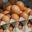 
Куриные яйца в Украине будут продавать по-новому: что изменится

