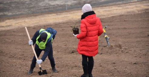 На Дергачевском полигоне высаживают тысячи деревьев и кустов