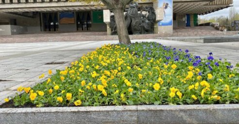 В Харькове начали высаживать цветы
