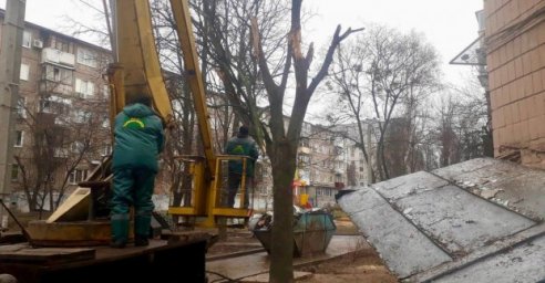 Бригады «Харьковзеленстроя» убирают поврежденные деревья