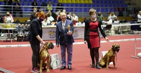 В Харькове проходит выставка собак на Кубок мэра Харькова