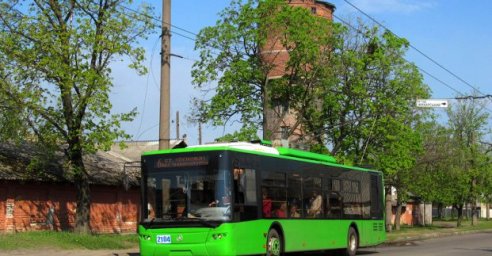 Игорь Терехов: После монетизации все льготы на проезд сохранятся