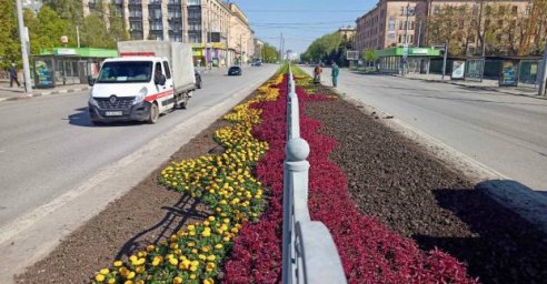 На проспекте Науки садят цветы