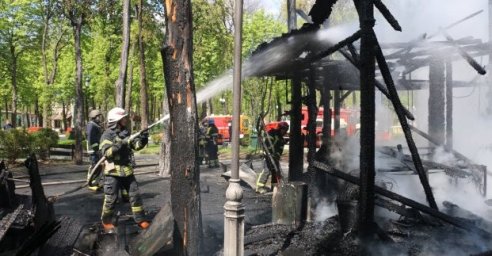 
В Харькове из-за обстрелов было уничтожено более двух тысяч деревьев
