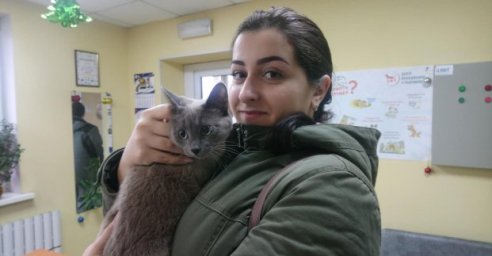 В Центре обращения с животными нашли хозяев для 2 тысяч питомцев