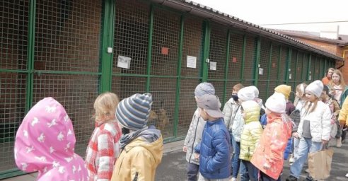В приюте для животных возобновились экскурсии