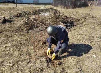 В Лесопарке нашли минометную мину (ФОТО)