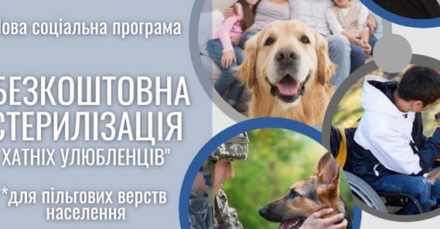 Харьковчане льготных категорий смогут бесплатно стерилизовать своих домашних животных