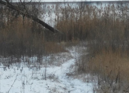 Под Харьковом насмерть замерз мужчина