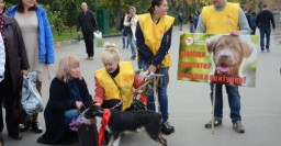 На площади Свободы прошла акция, посвященная Дню защиты животных