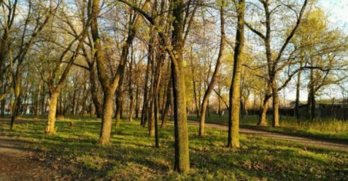 В Киевском районе реконструируют Карякин сад и откроют библиотеку