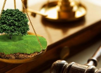 Провал афериста: с помощью поддельных документов пытался отхватить земли на сотни тысяч