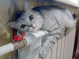 Отопительный сезон в Чернигове оказался под угрозой срыва