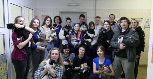 В харьковском приюте провели тренинг по общению с животными