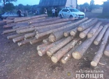 Дело незаконных лесорубов из Балаклеи отправлено в суд
