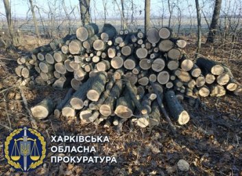 Вырубили дубы и нанесли 750 тыс. грн убытков - два лесоруба предстанут пред судом