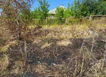 Пенсионерка выжигала траву, потеряла сознание и сгорела (ФОТО)