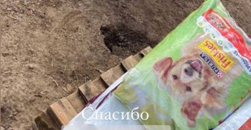 Харьковский приют для животных передал корм в область