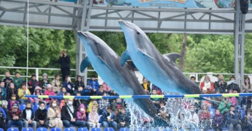 450 харьковских школьников отпраздновали День защиты детей в дельфинарии &laquo;Немо&raquo;