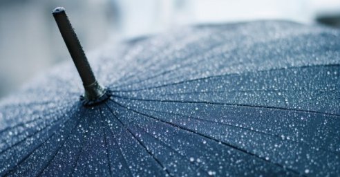 Завтра в Харькове - до 16 градусов тепла и дождь