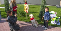 Питомцы центра обращения с животными выступили на выставке собак