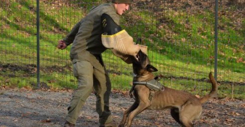 В парке Горького полиция проведет большое мероприятие для детей