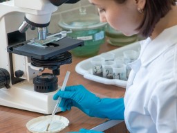 Протесты ученых: В госбюджете-2019 на Академию наук заложено меньше, чем на ГПУ