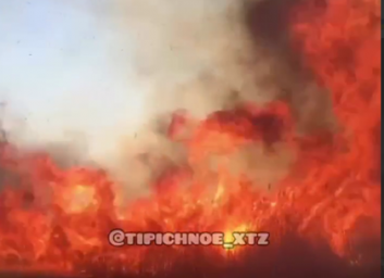 Под Харьковом пылает камыш (ВИДЕО)