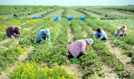  В Польше работает около 1,5 миллиона украинцев - посол 