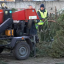В Харькове утилизируют новогодние елки