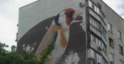 На домах в районе ХТЗ рисуют огромных птиц