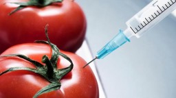Украинским продавцам еды разрешат не сообщать о ГМО