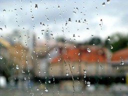 Завтра в Харькове - возможен дождь