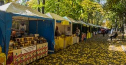 В саду Шевченко открылась Покровская ярмарка