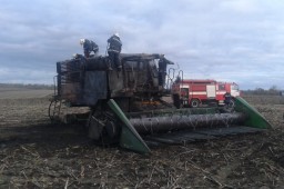В поле сгорел комбайн с кукурузой