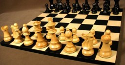 В Холодногорском районе прошел первый турнир по шахматам среди школьников