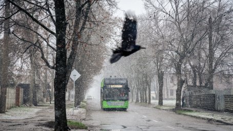 У Харкові 3 лютого змінять маршрути тролейбусів і запровадять тимчасові автобуси