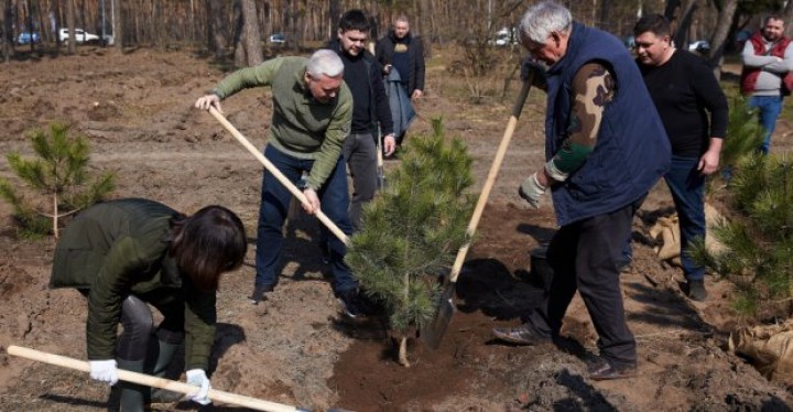 В Харькове стартовала масштабная акция по высадке деревьев
