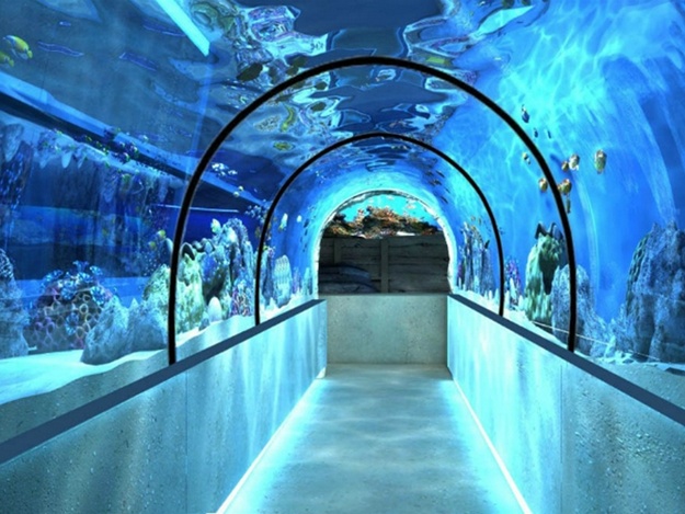 Царство Посейдона: в харьковском зоопарке появится океанариум