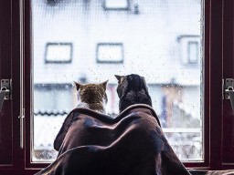 Когда в Харькове закончится отопительный сезон