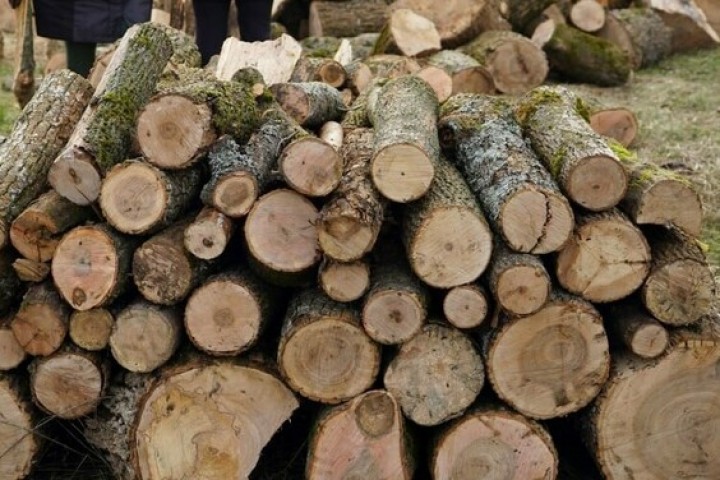 Триває забезпечення громад Харківщини паливною деревиною