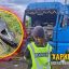 Дев&rsquo;ятеро постраждалих за добу: Харківщина знову опинилася під ударами російських безпілотників