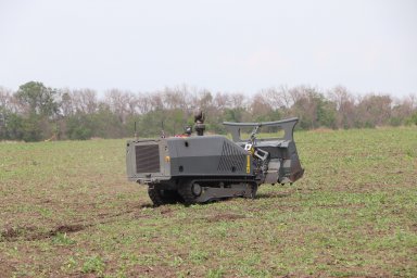 Небезпечна знахідка: понад 70 хв «пелюстка» на одному полі в Харківській області