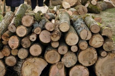 Триває забезпечення громад Харківщини паливною деревиною