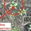 Харьковчан просят не посещать кладбище №17 из-за минной угрозы